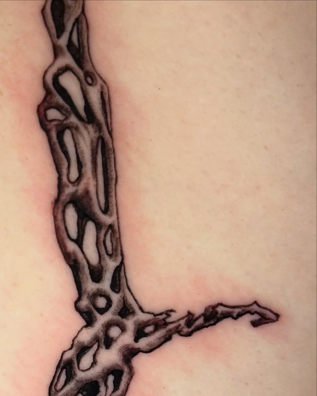 Tattoo by @patternfreak — blackwork, illustrative