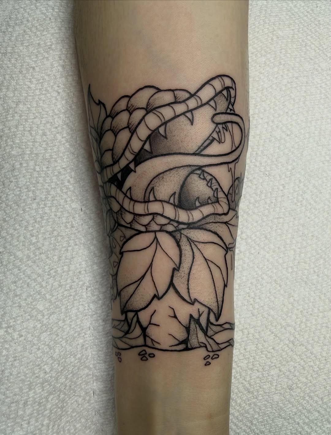 Tattoo by @glittergutstattoos — illustrative, black_and_grey