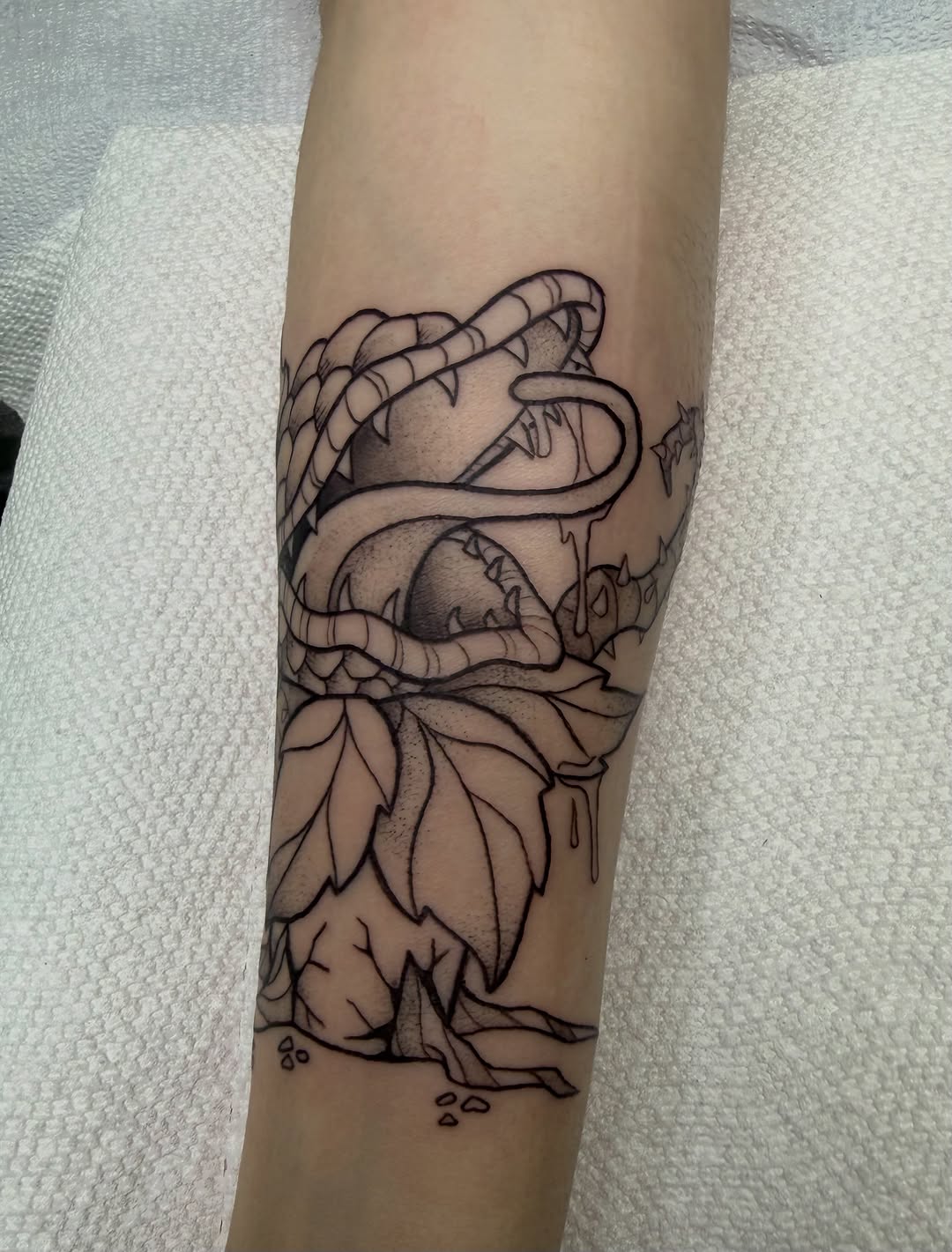 Tattoo by @glittergutstattoos — illustrative, black_and_grey