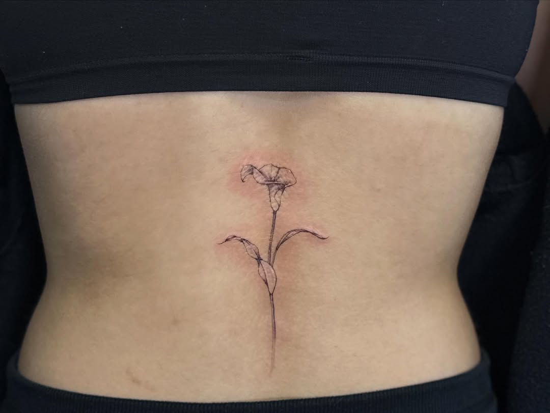 Tattoo by @vaehinked — fine_line, illustrative