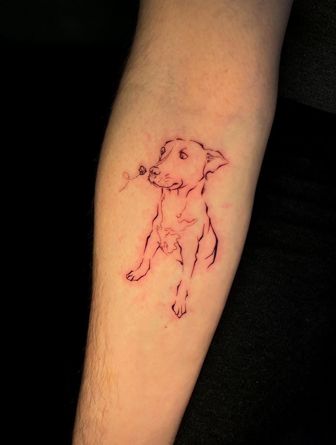 Tattoo by @crose.o1 — fine_line, illustrative