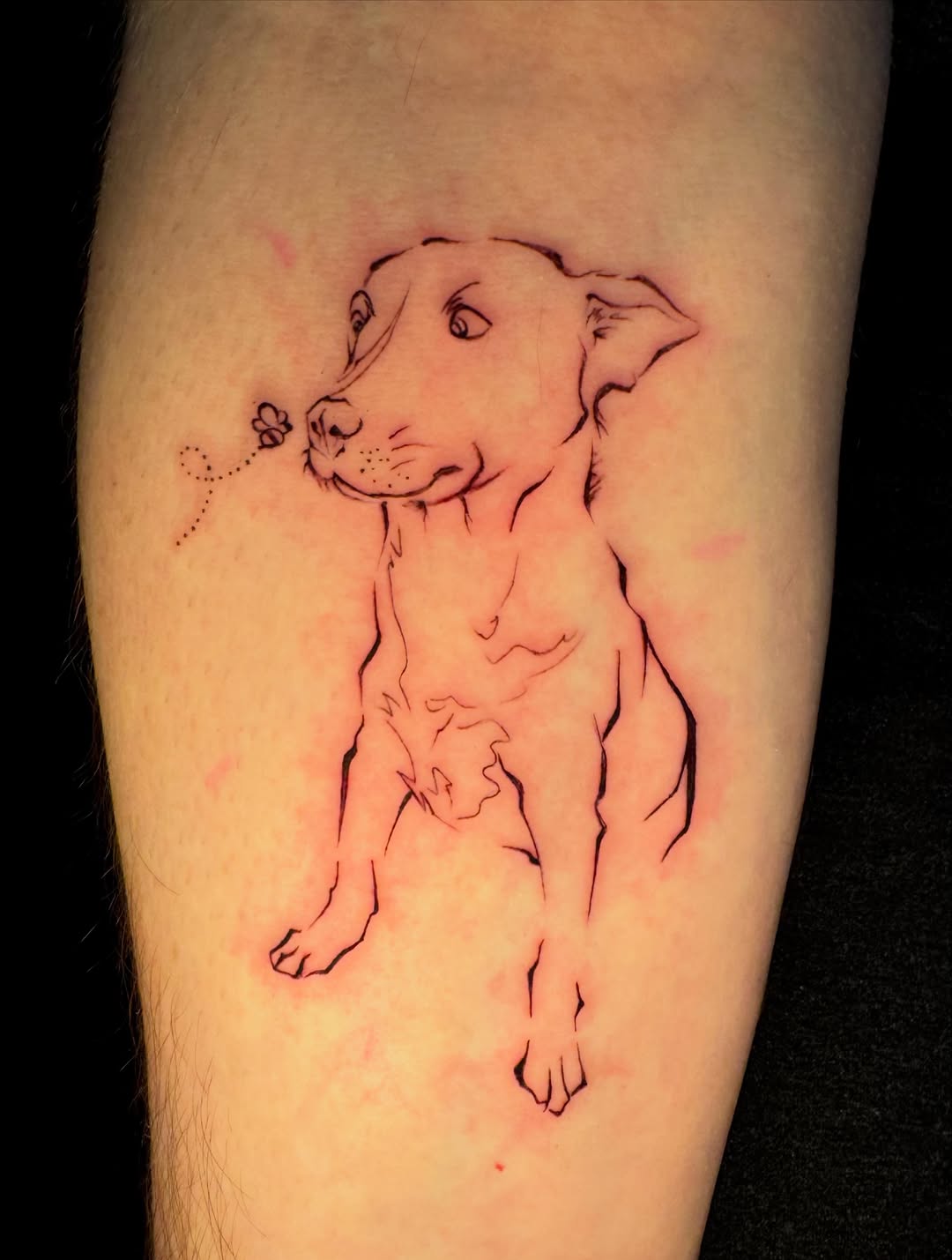Tattoo by @crose.o1 — fine_line, illustrative