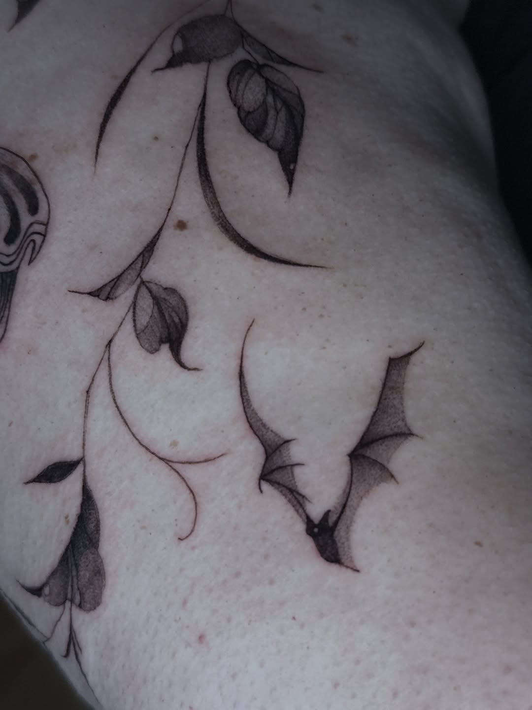 Tattoo by @ink.booo โ fine_line, dotwork
