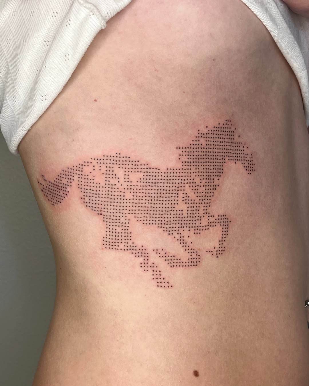 Tattoo by @toughbutton.tats — dotwork, illustrative