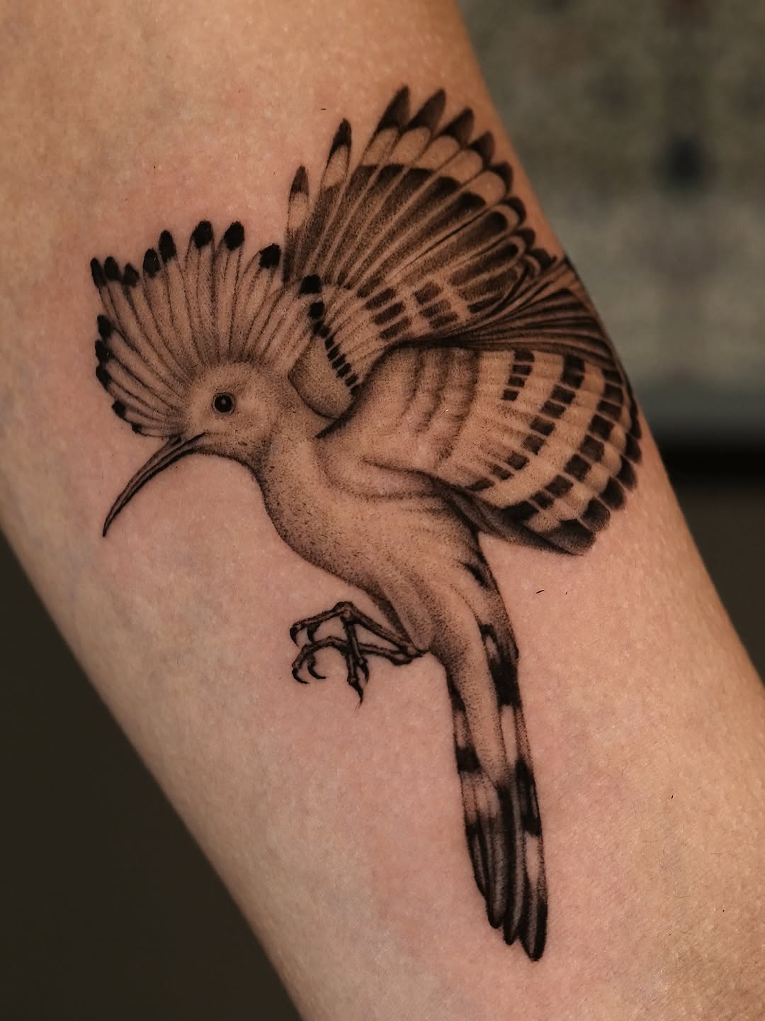 Tattoo by @hibakhantattoos — realism, black_and_grey