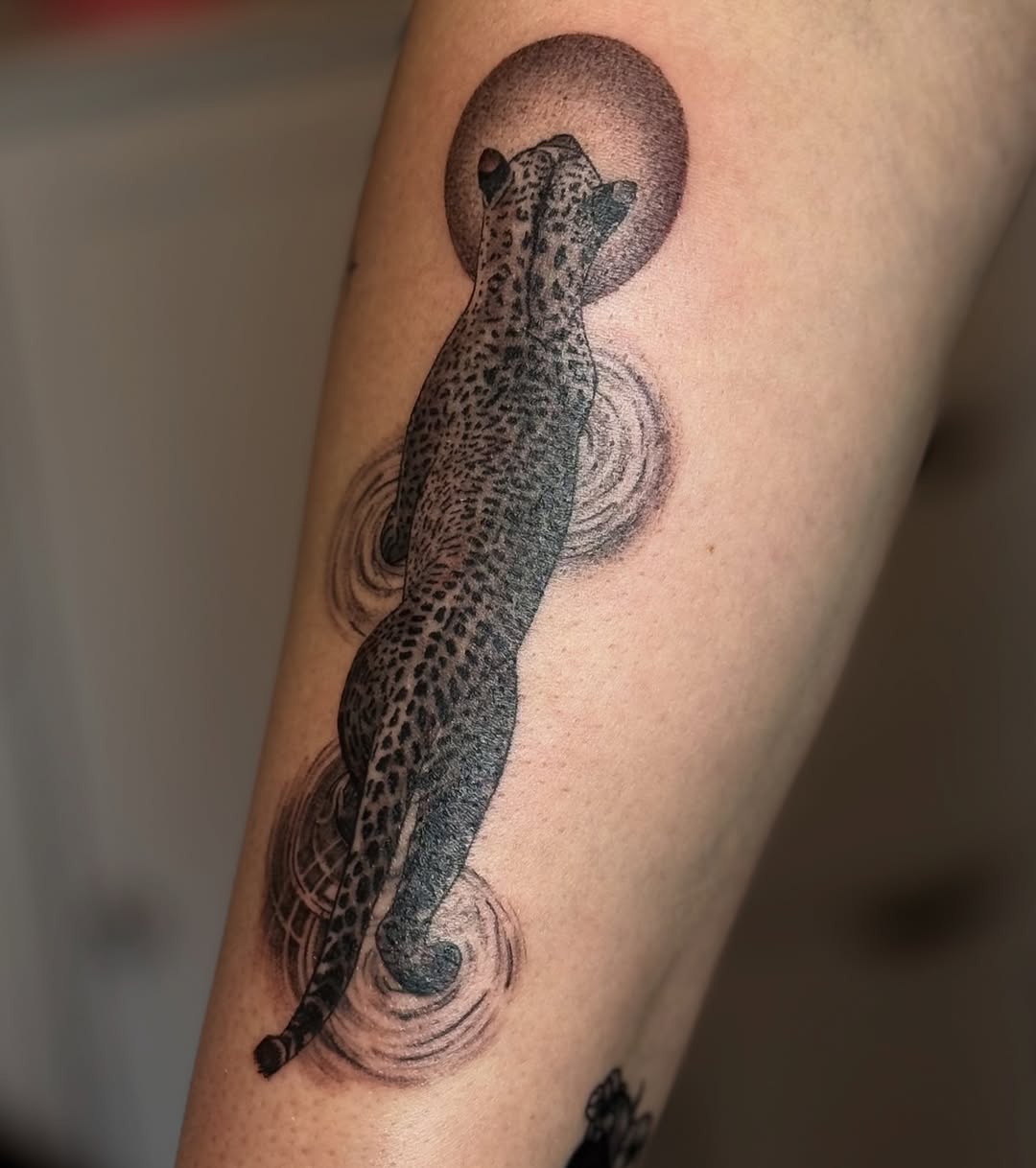 Tattoo by @mozeratti.tattoos — black_and_grey, dotwork