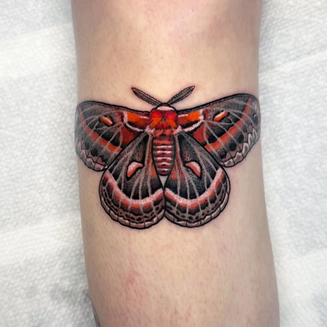 Tattoo by @daniwilliamstattoo — illustrative, realism