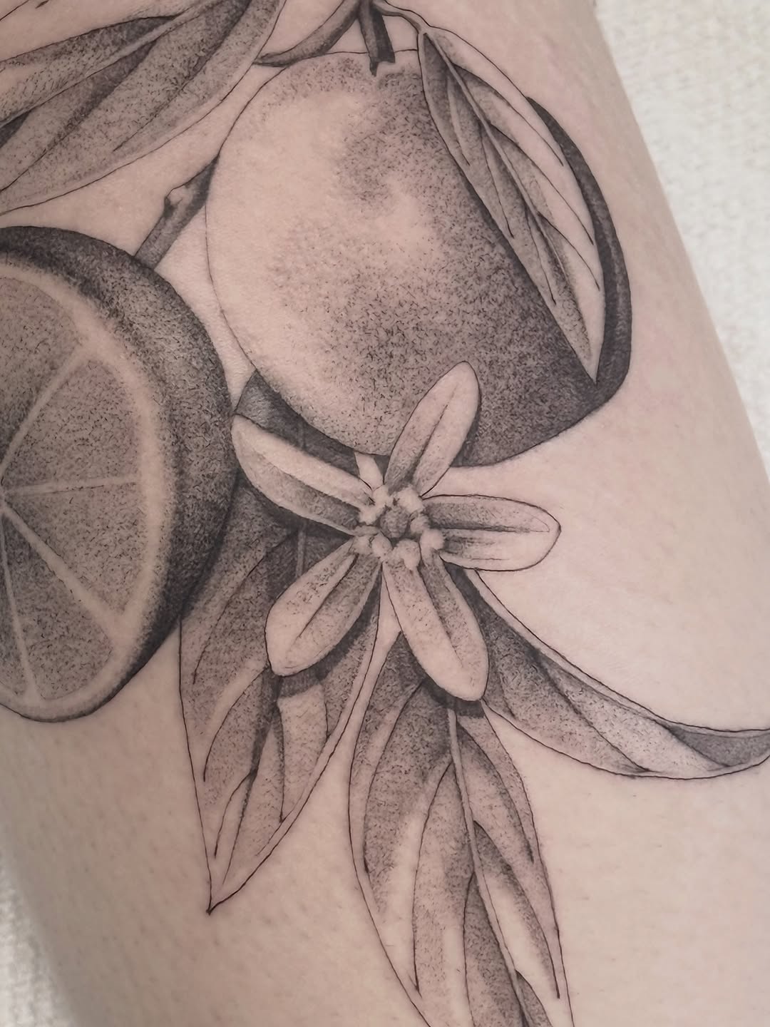 Tattoo by @jesskuesperttattoo — black_and_grey, realism