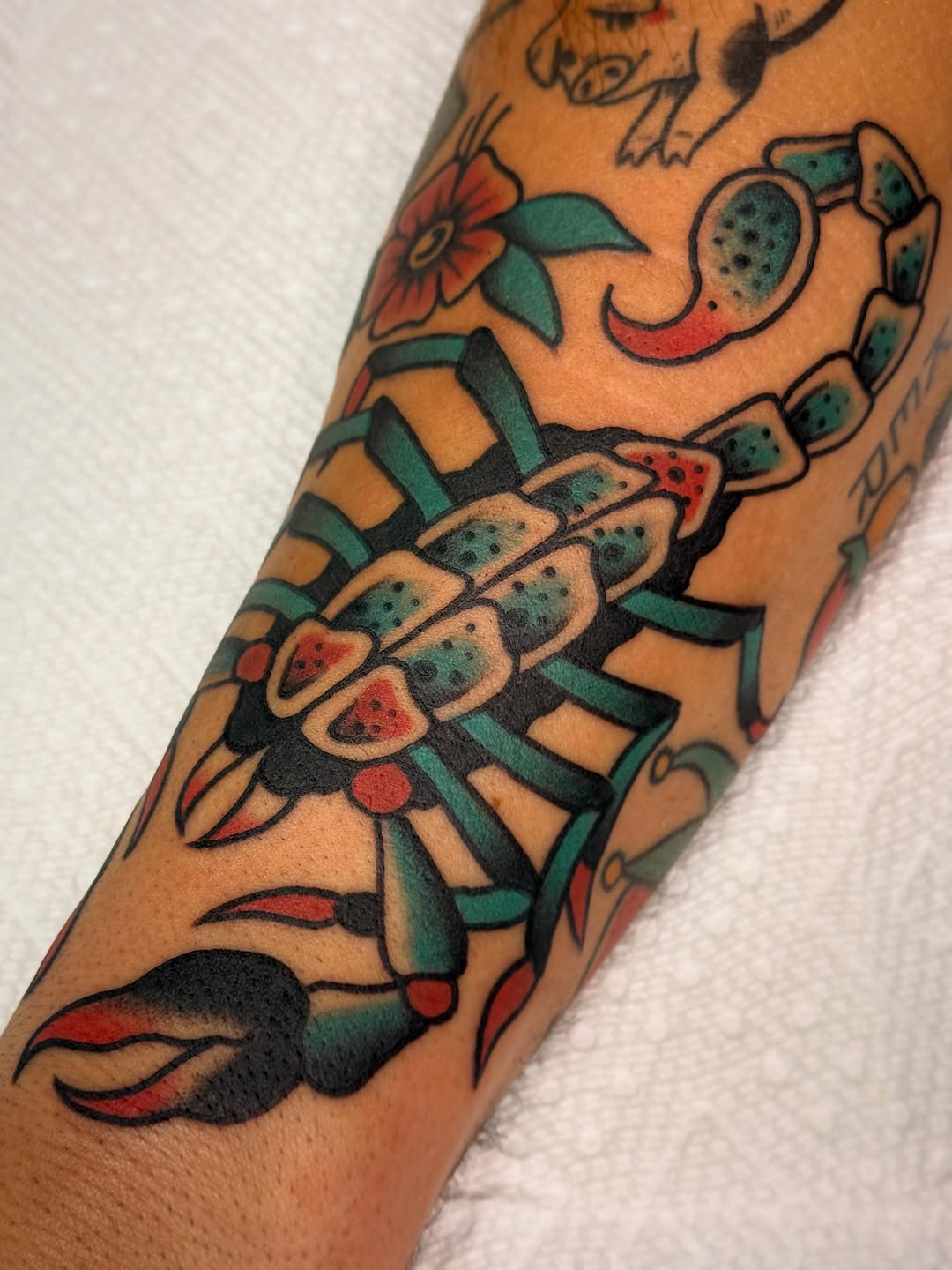 Tattoo by @cfinksta — american_traditional