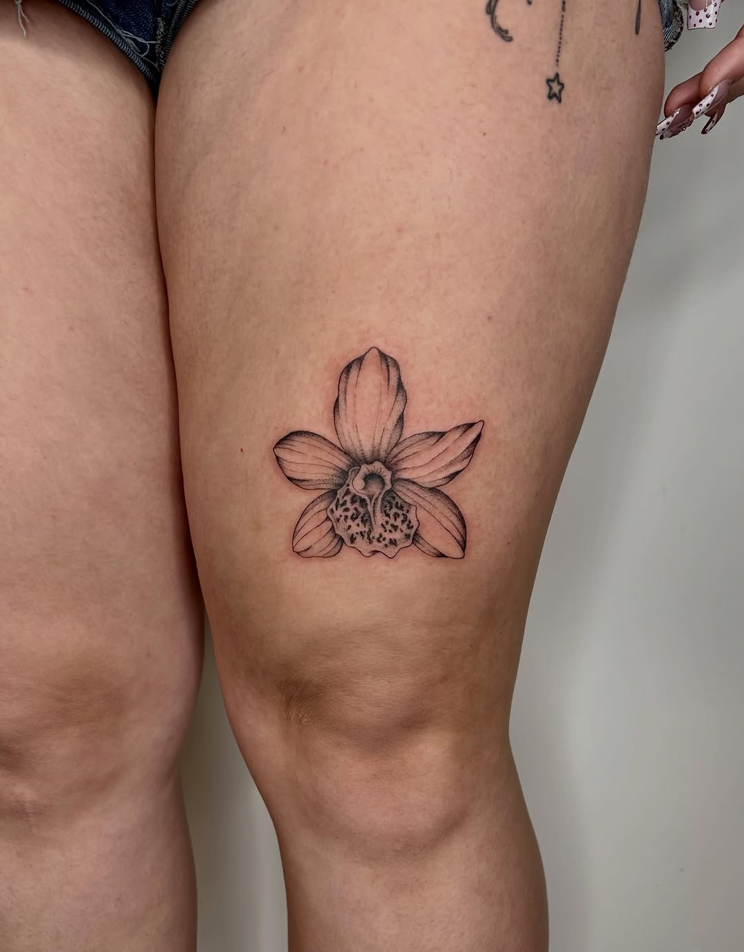 Tattoo by @allieb.tats — fine_line, black_and_grey