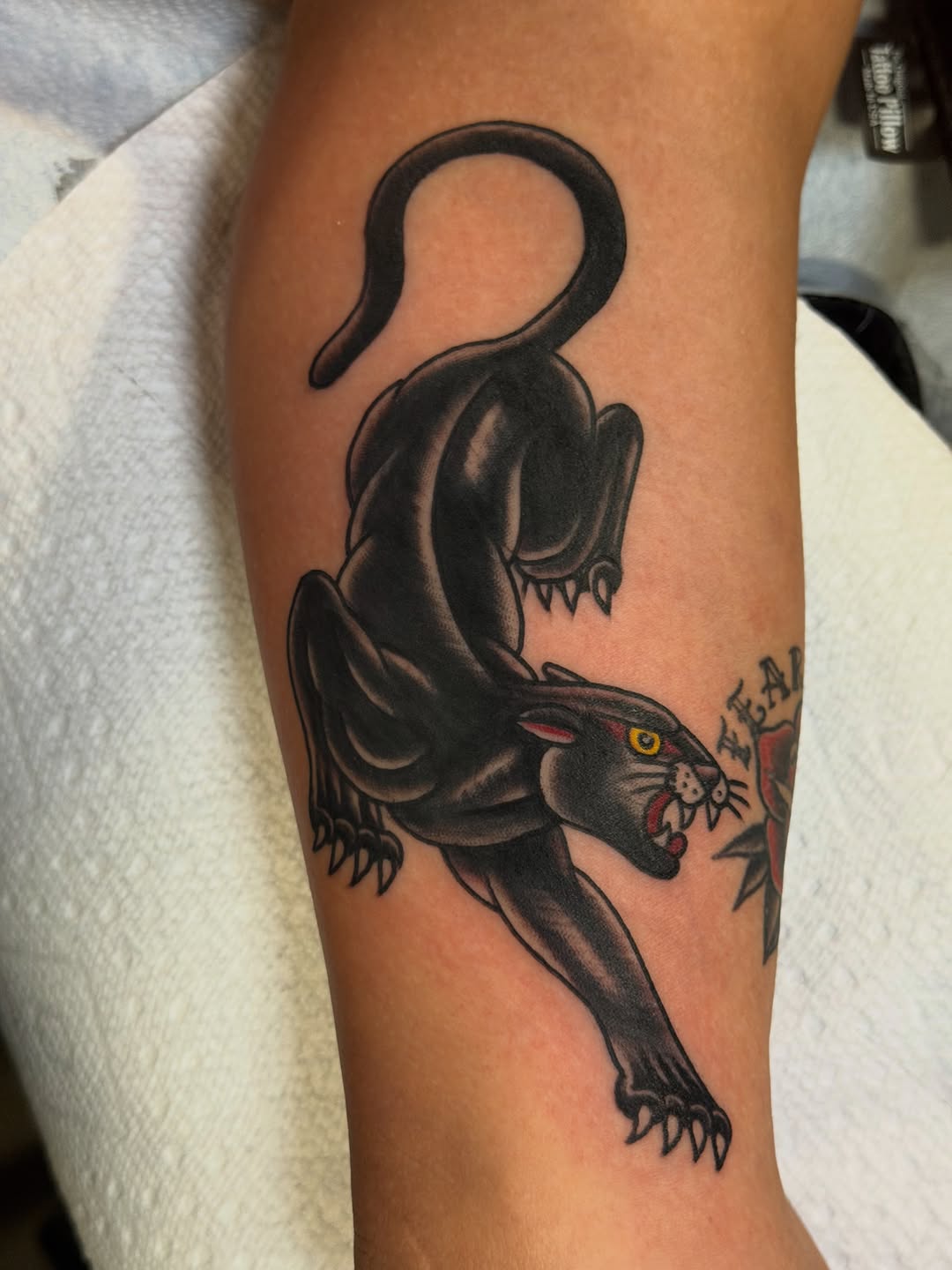 Tattoo by @brandonbeartattoos โ american_traditional, illustrative