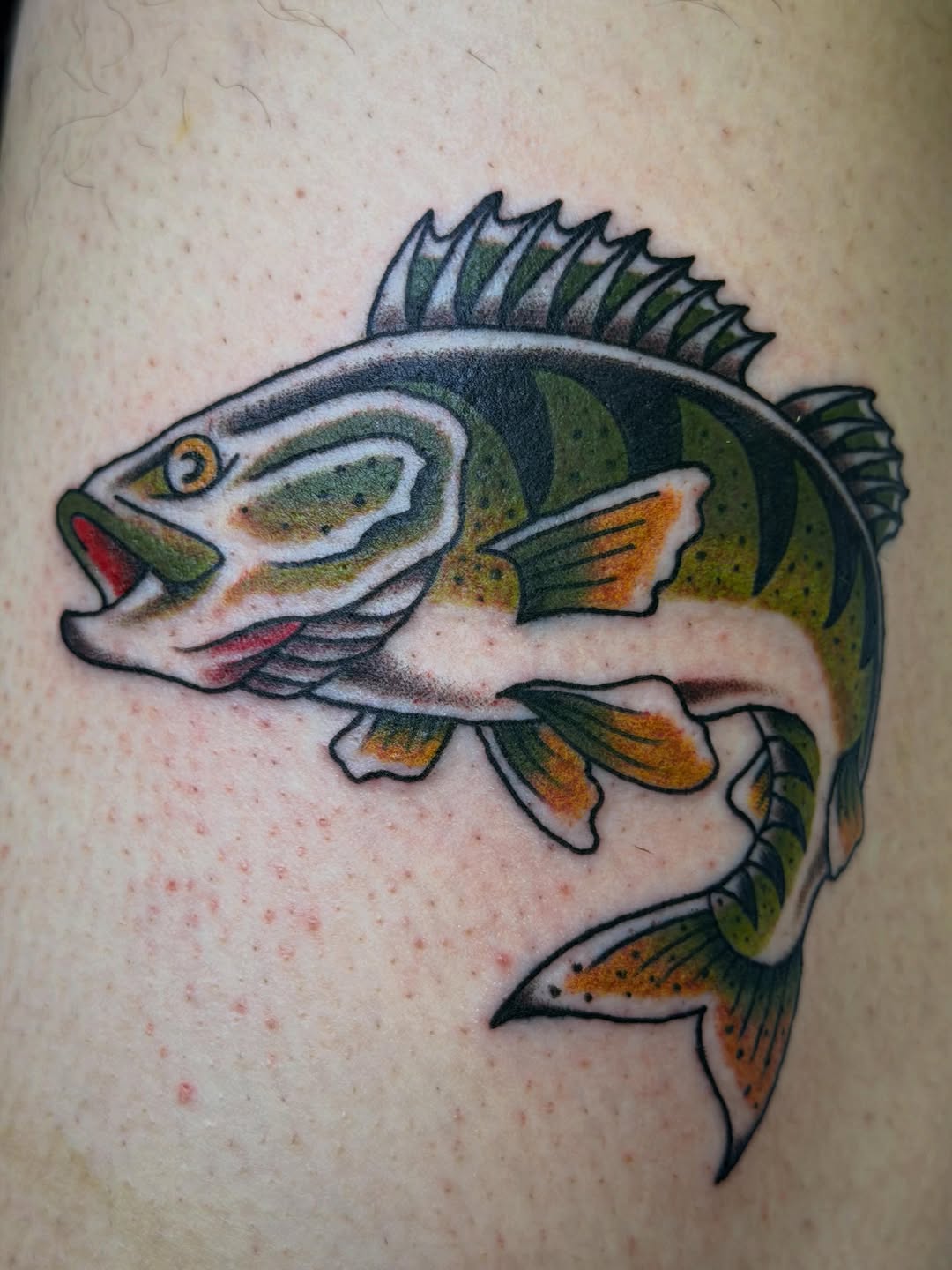 Tattoo by @il.tattoos — american_traditional