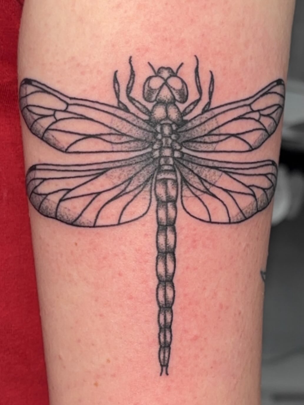 Tattoo by @taylor_einan โ black_and_grey, dotwork