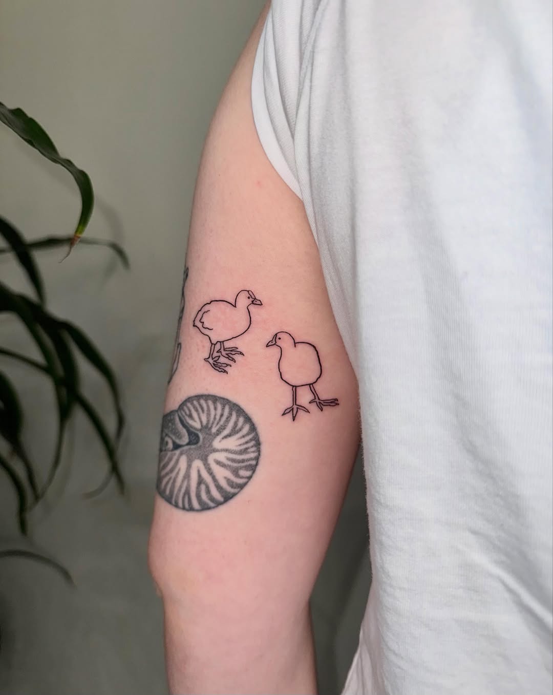 Tattoo by @rimninenine — fine_line, illustrative