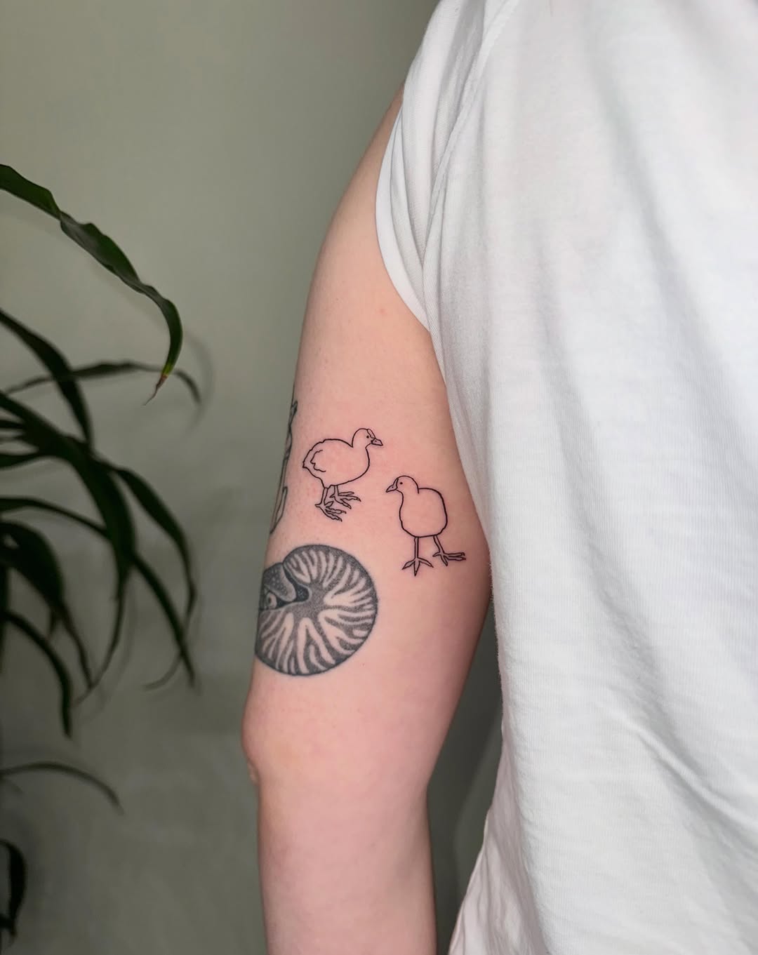 Tattoo by @rimninenine — fine_line, illustrative