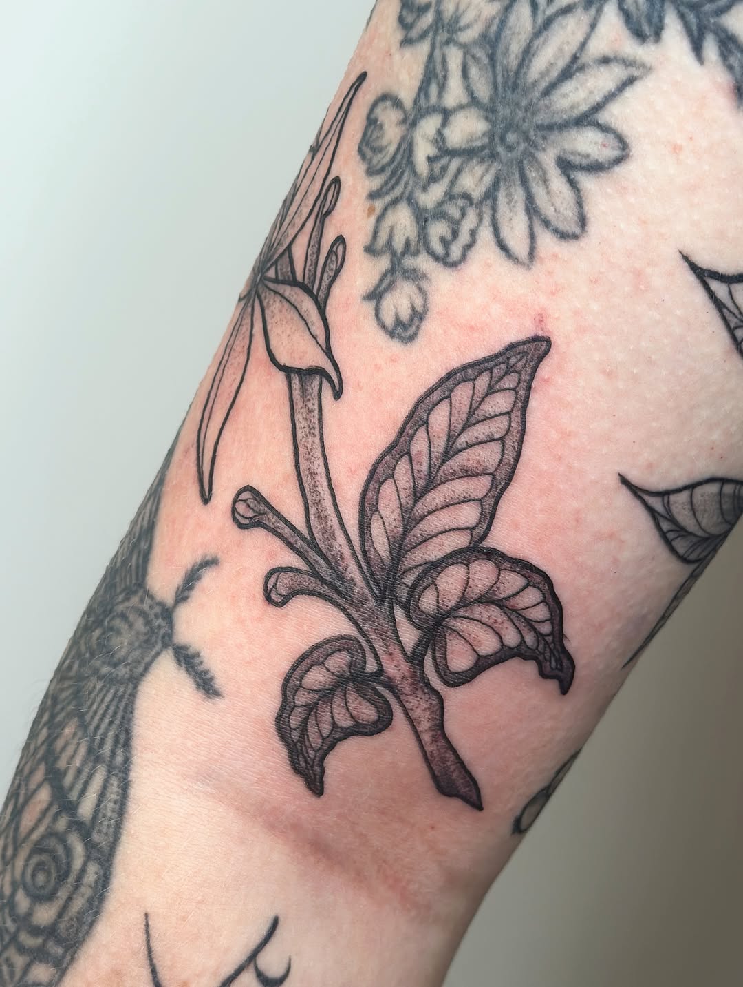 Tattoo by @gabymariatattoo — blackwork