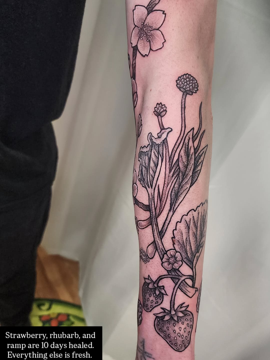 Tattoo by @lindseystattytats — black_and_grey