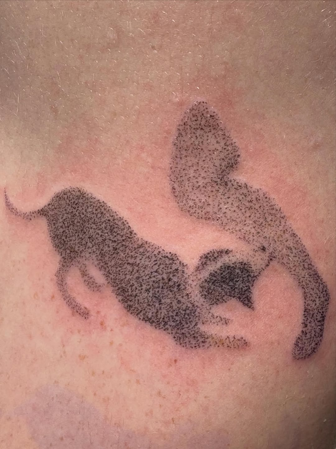 Tattoo by @saint.jillian — dotwork