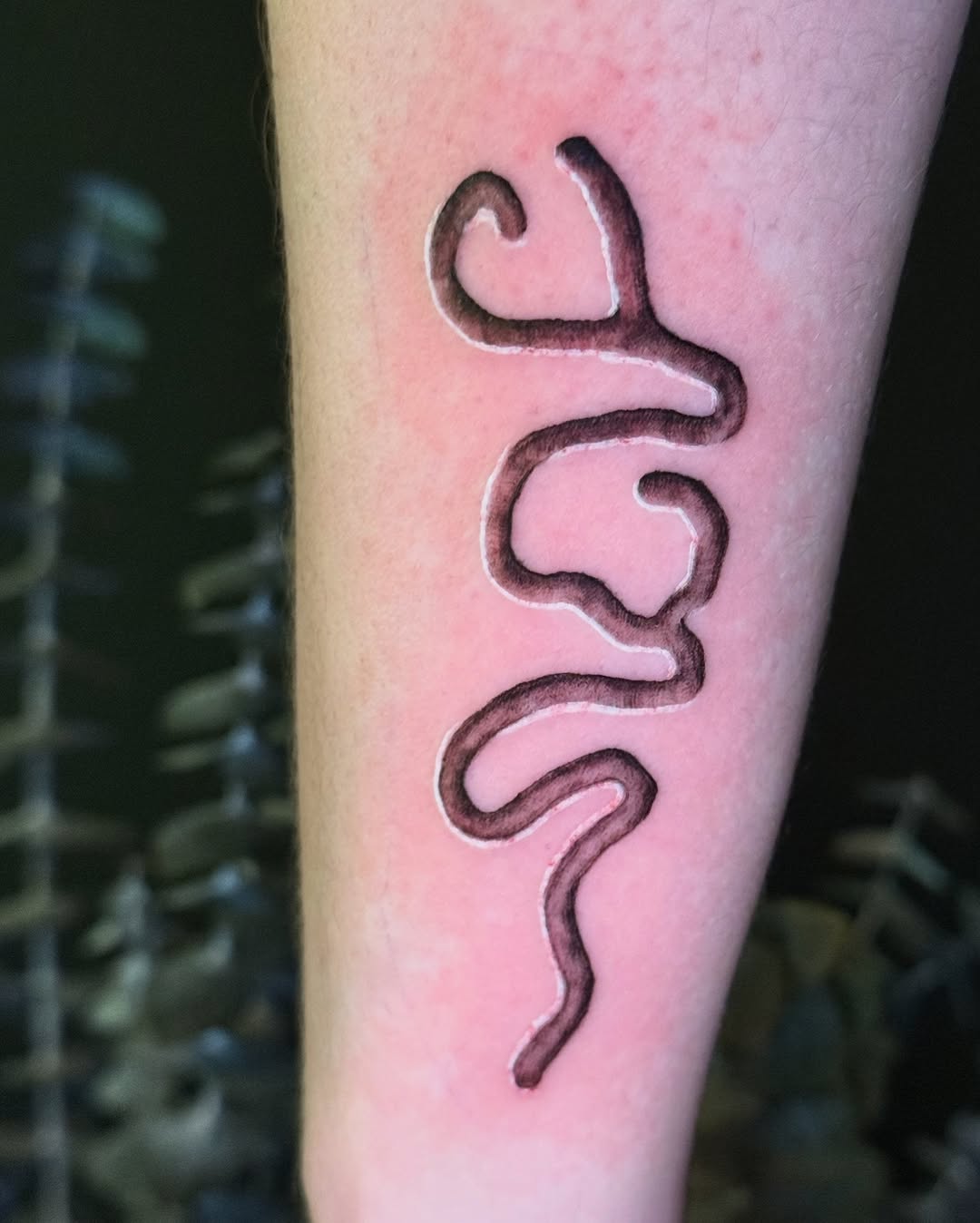 Tattoo by @patternfreak — illustrative, fine_line