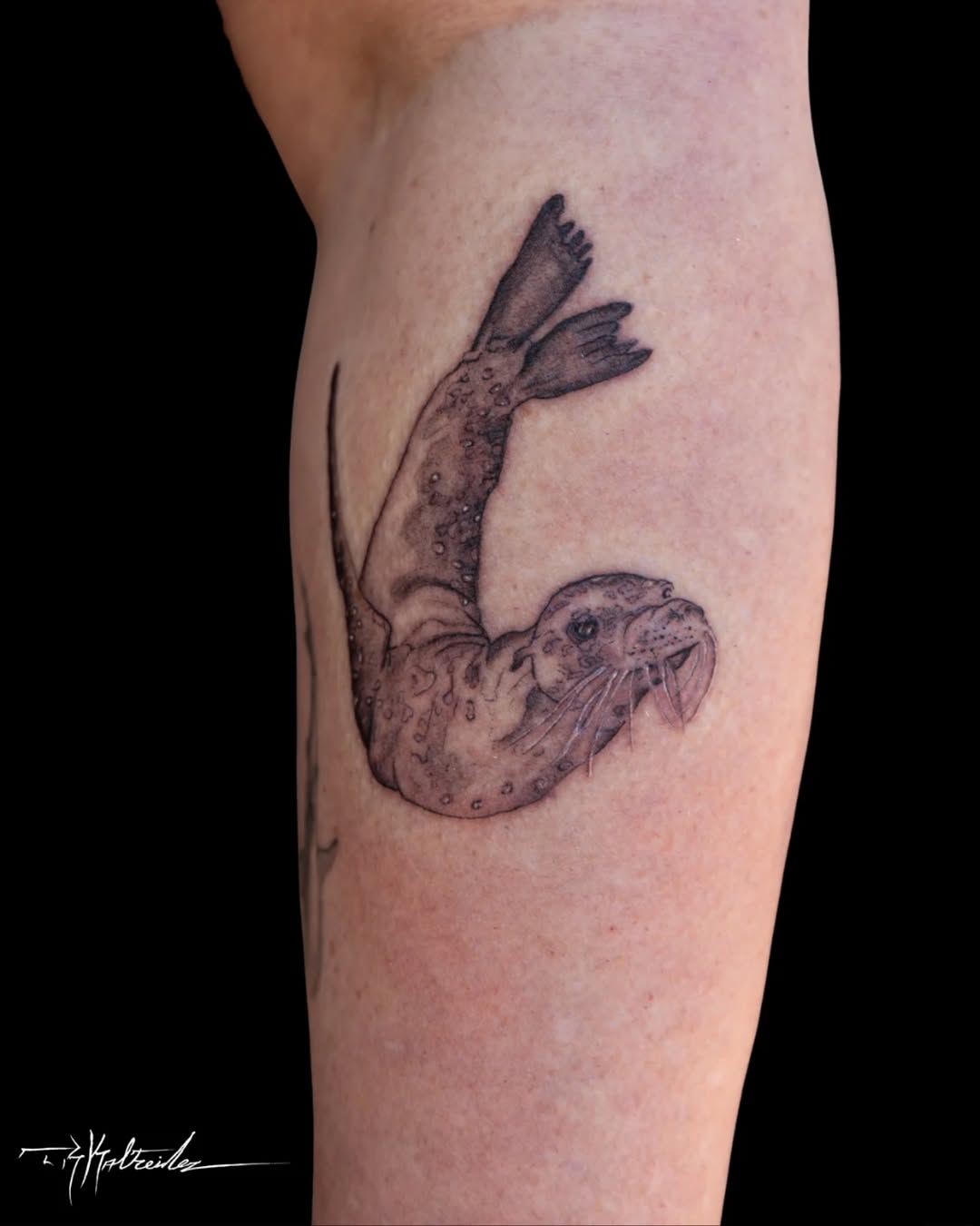 Tattoo by @trkaltreider — realism, black_and_grey