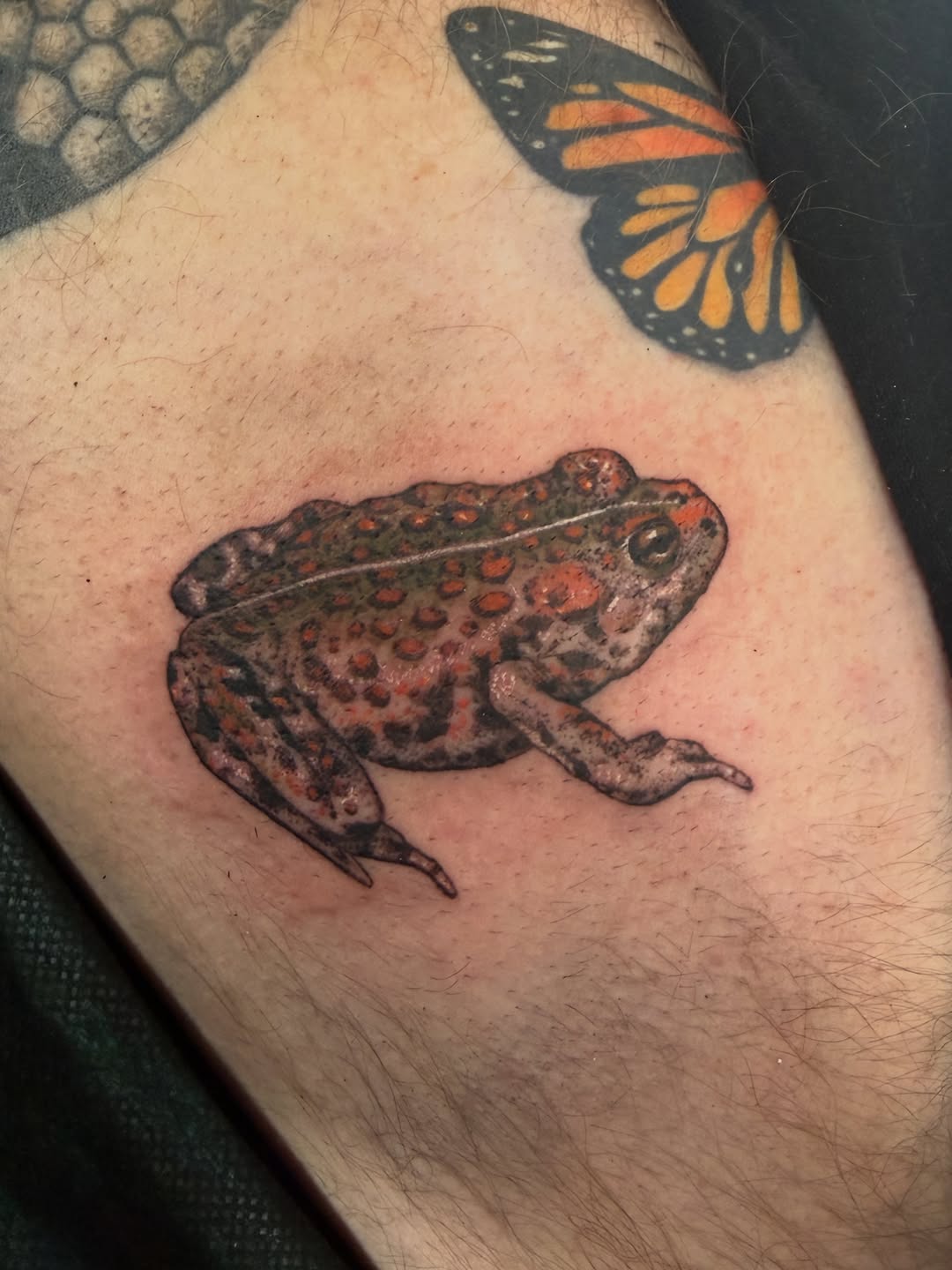 Tattoo by @medusa_michelletattoos — realism, illustrative