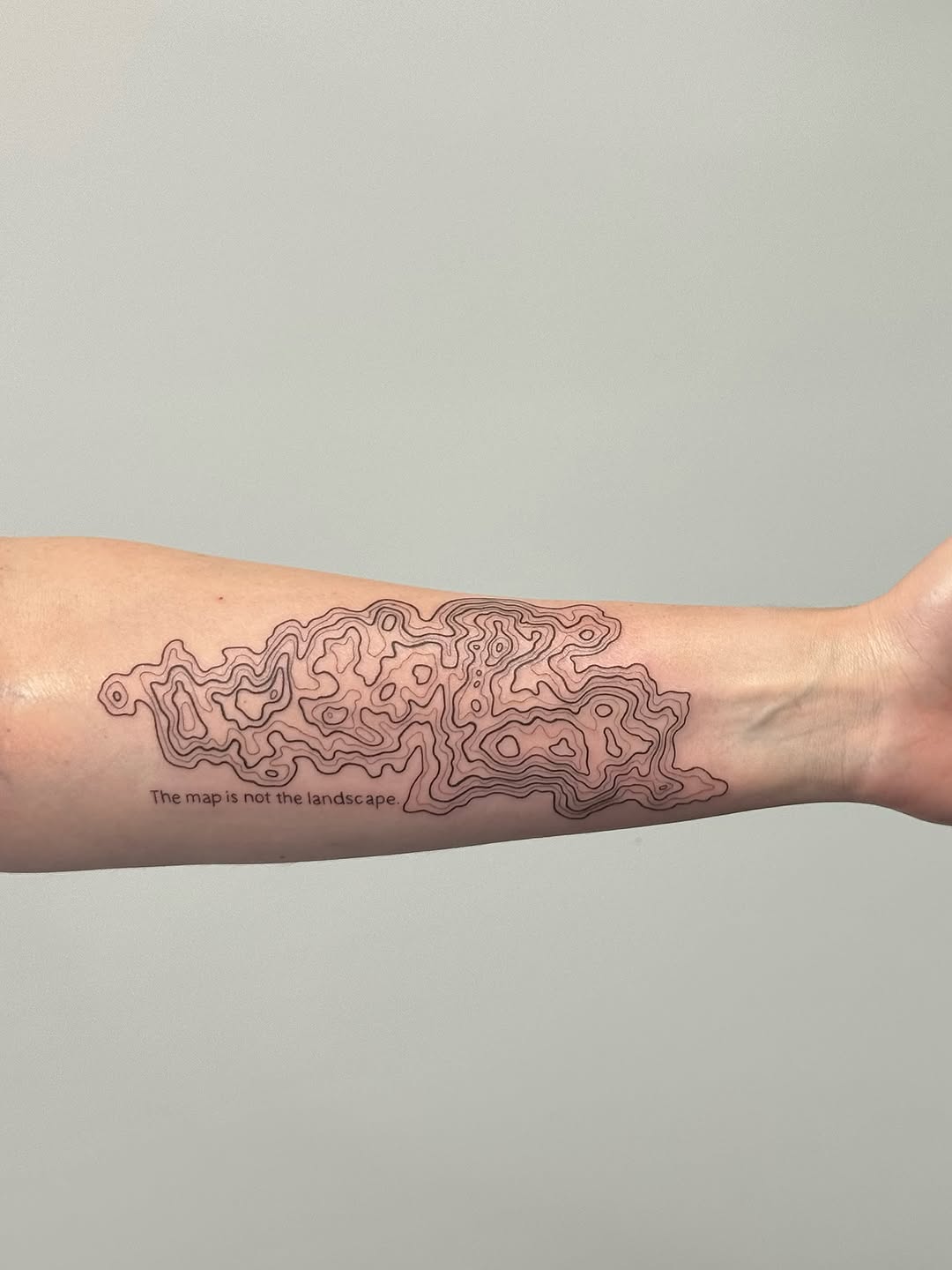 Tattoo by @whiskietattoos โ fine_line, illustrative