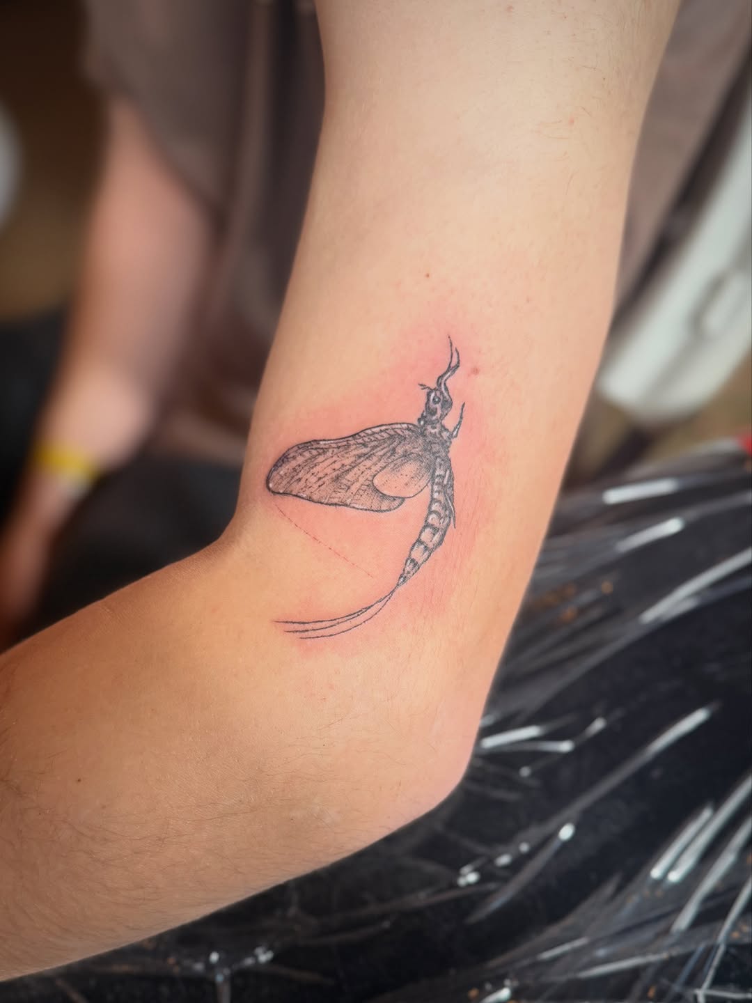 Tattoo by @shadowsteptattoo — fine_line, illustrative