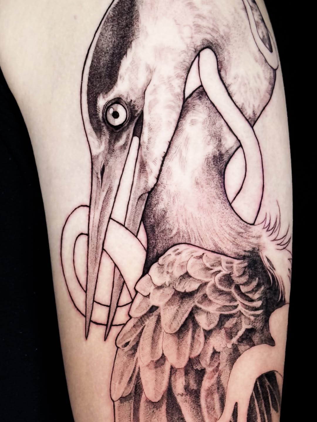 Tattoo by @roseshrubs — black_and_grey