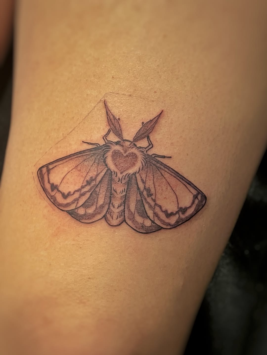 Tattoo by @joyinsorrowtattoo — fine_line, black_and_grey