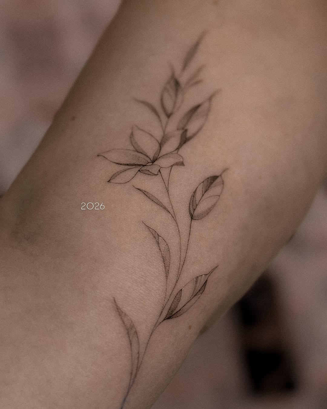 Tattoo by @alina.tattoo.ink — fine_line