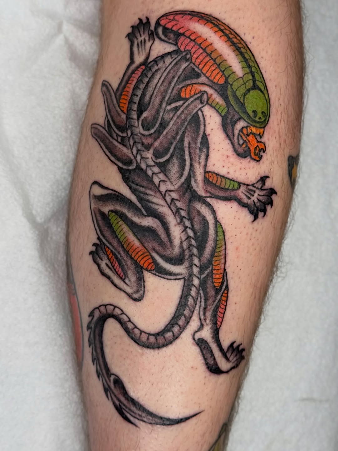 Tattoo by @sarahxtinetattoo — illustrative, new_school