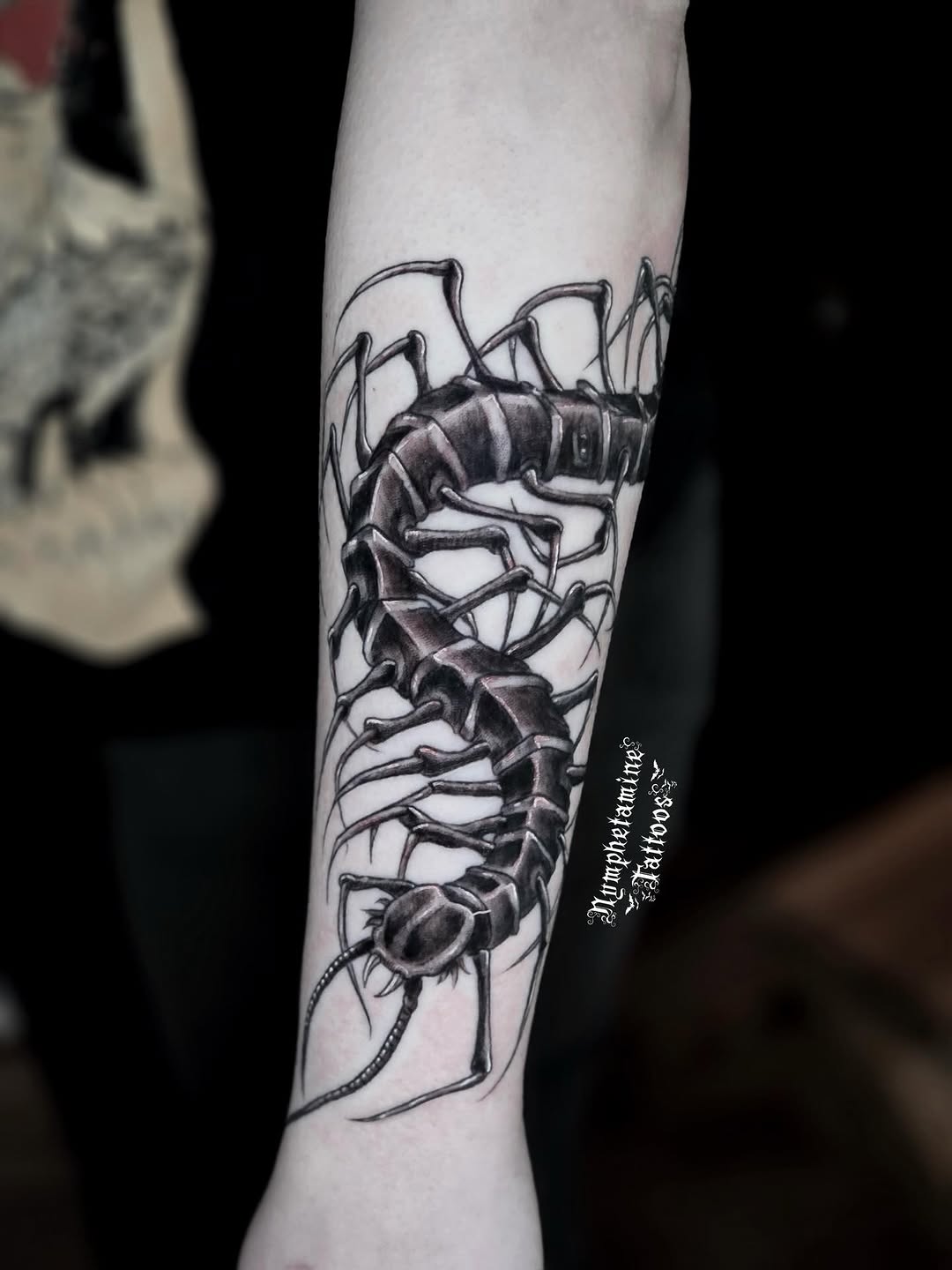Tattoo by @nymphetamine_tattoos β black_and_grey, realism