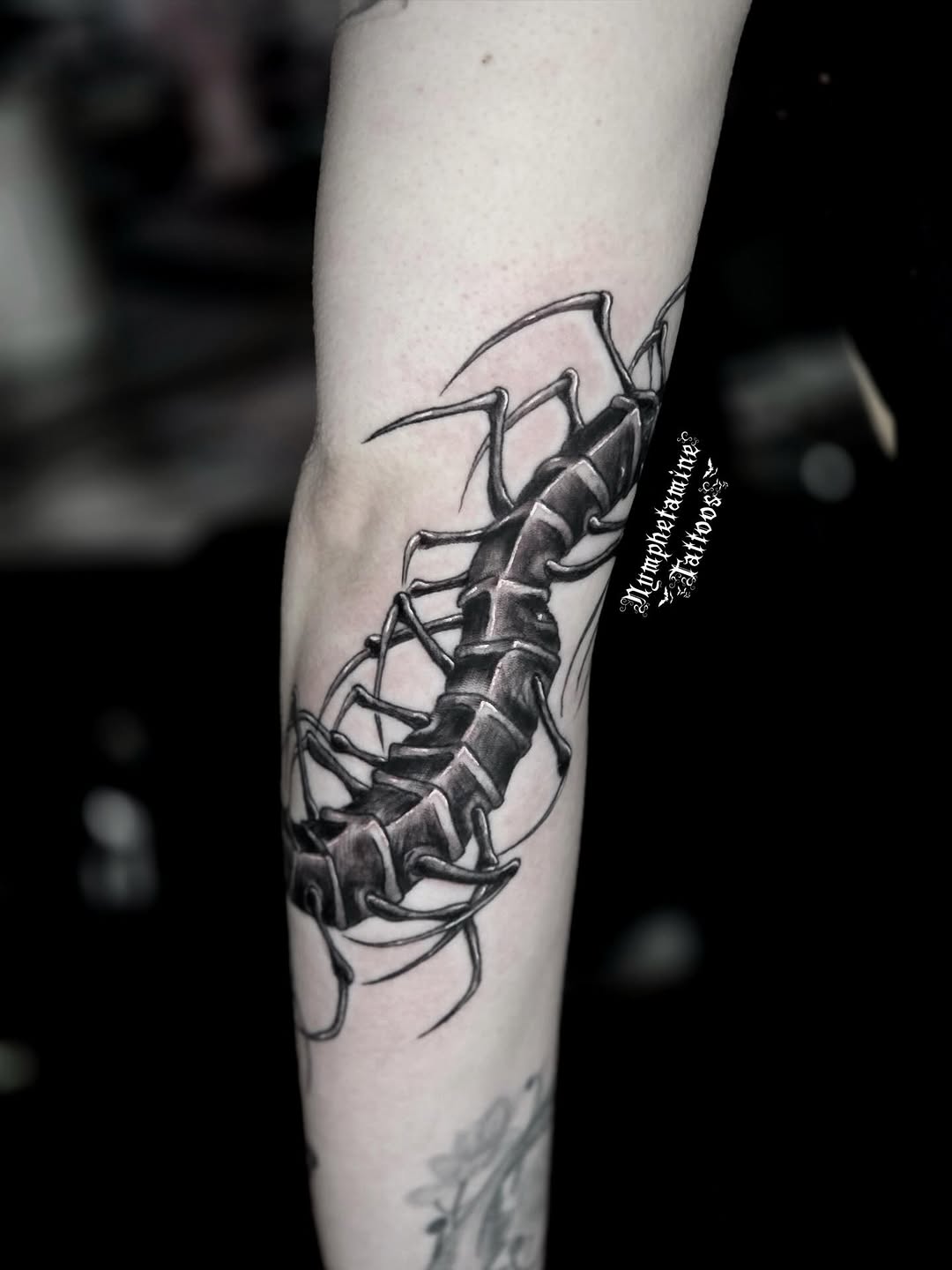 Tattoo by @nymphetamine_tattoos β black_and_grey, realism