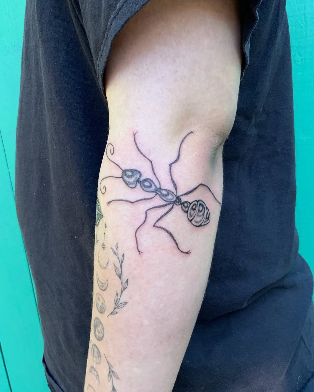Tattoo by @sluggybunny — illustrative, fine_line