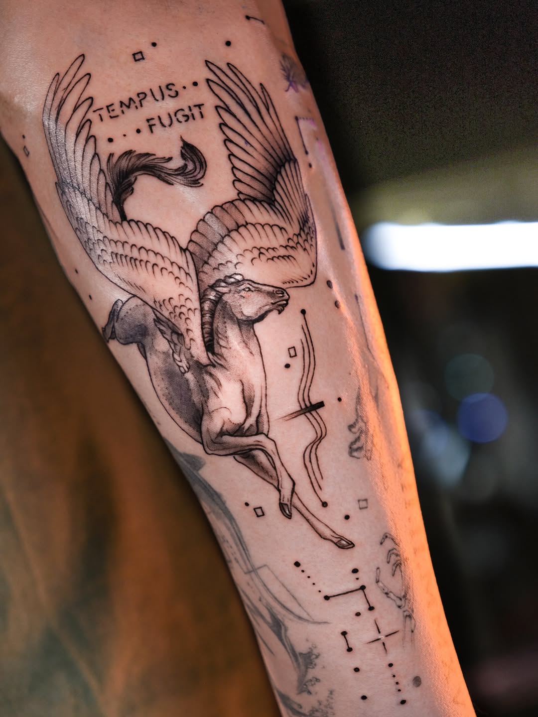 Tattoo by @aleki_blue — illustrative, black_and_grey