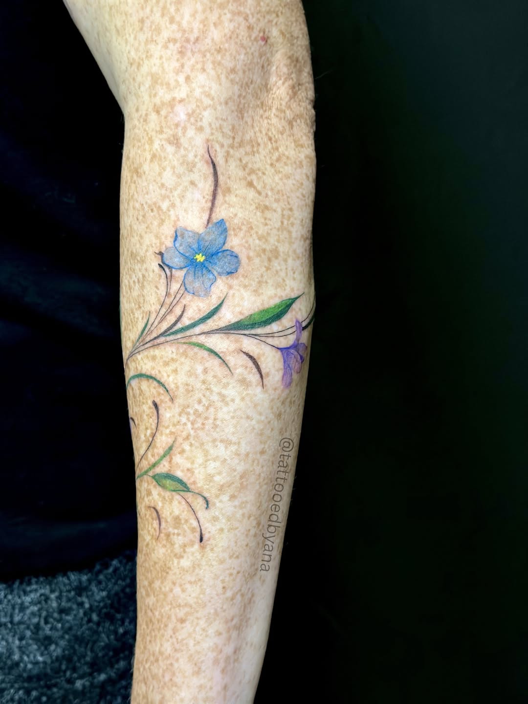 Tattoo by @tattooedbyana — fine_line
