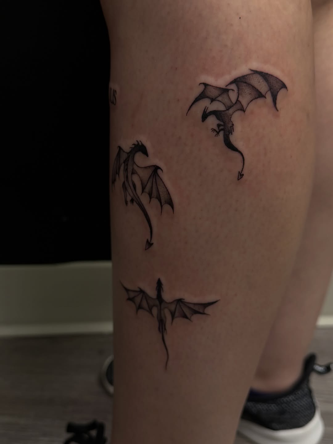 Tattoo by @ashlyntheartist — fine_line, illustrative