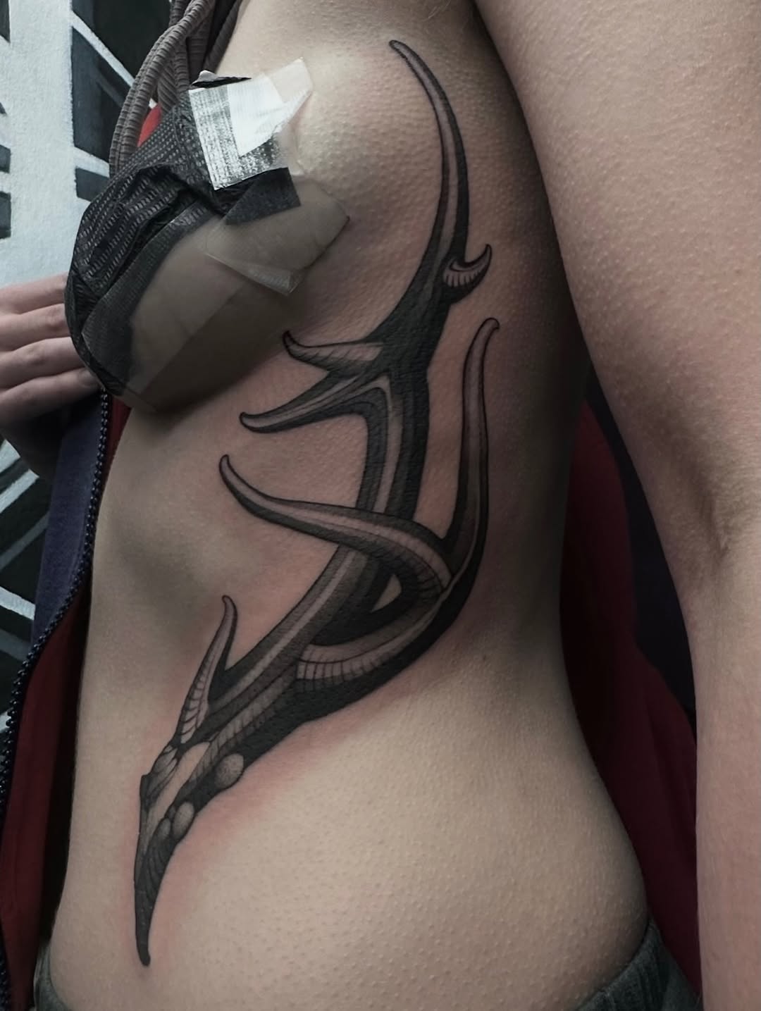 Tattoo by @shriekingpossum — black_and_grey, ornamental