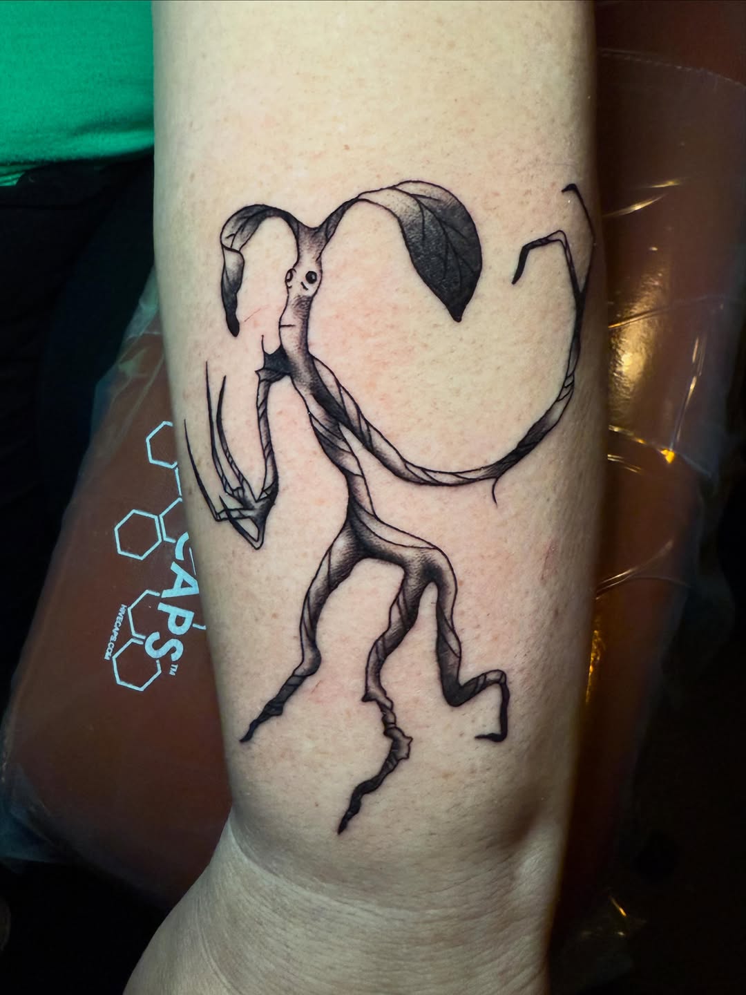 Tattoo by @emilylestrangetattoos — illustrative, black_and_grey