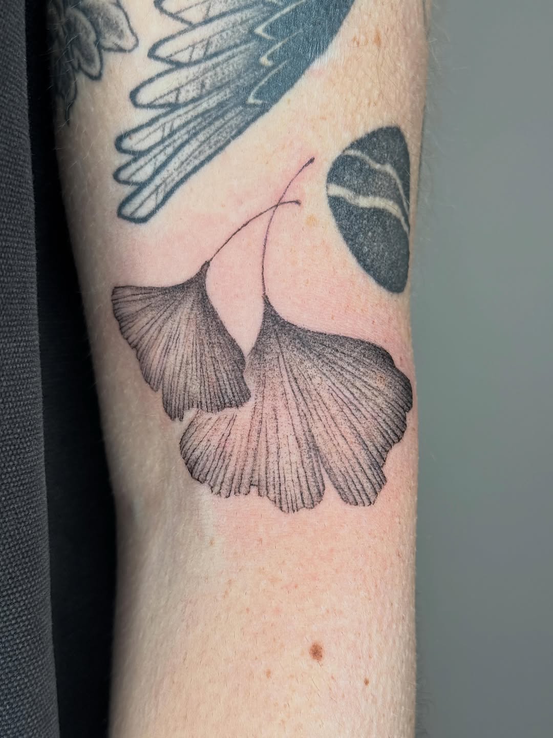 Tattoo by @youre_so_baby — black_and_grey
