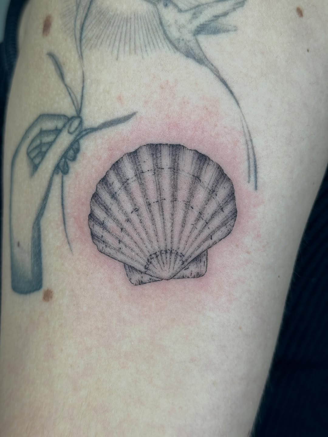Tattoo by @youre_so_baby — black_and_grey