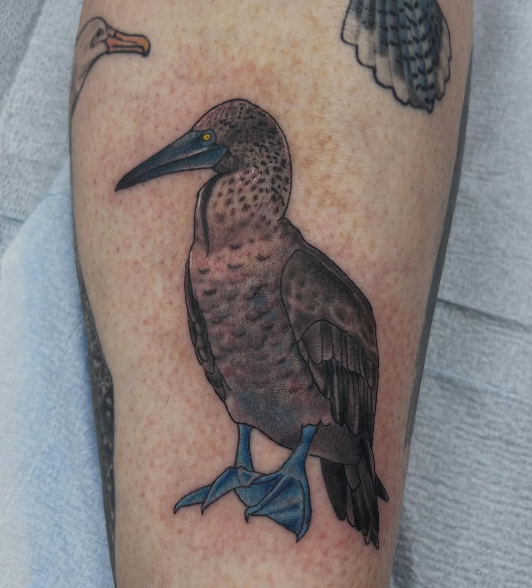 Tattoo by @brianmcfadden — realism