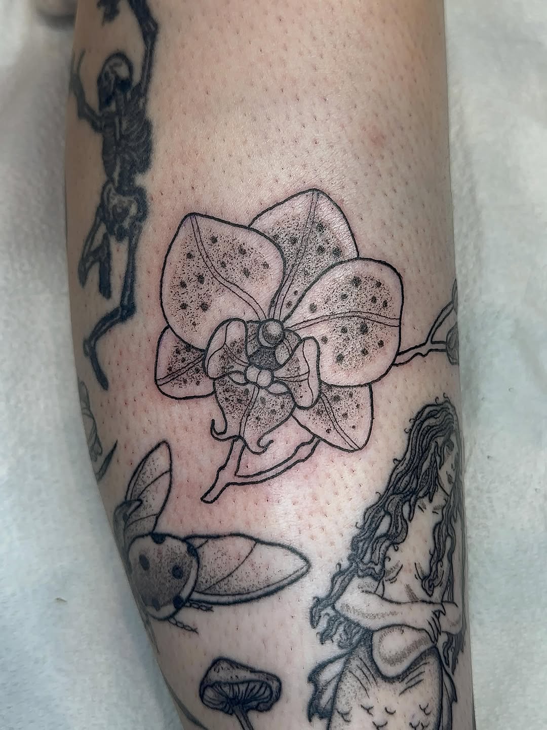 Tattoo by @savannahleetattoos — dotwork, fine_line