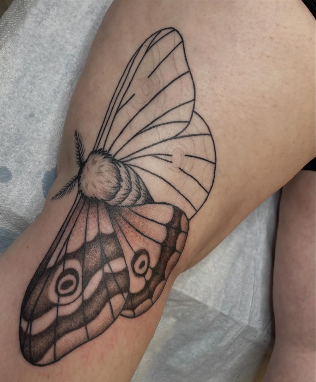 Tattoo by @jennanabread_ink — black_and_grey, fine_line