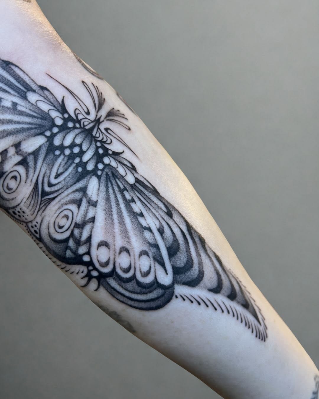 Tattoo by @smp.art_ — black_and_grey, ornamental