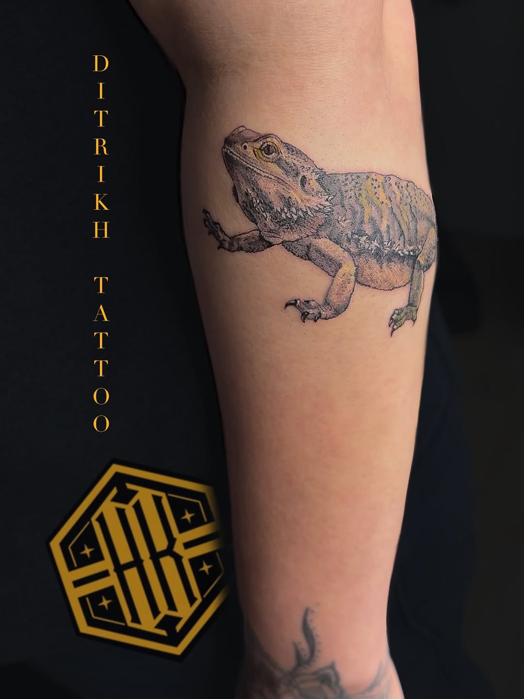 Tattoo by @ditrikh_tattoo — realism