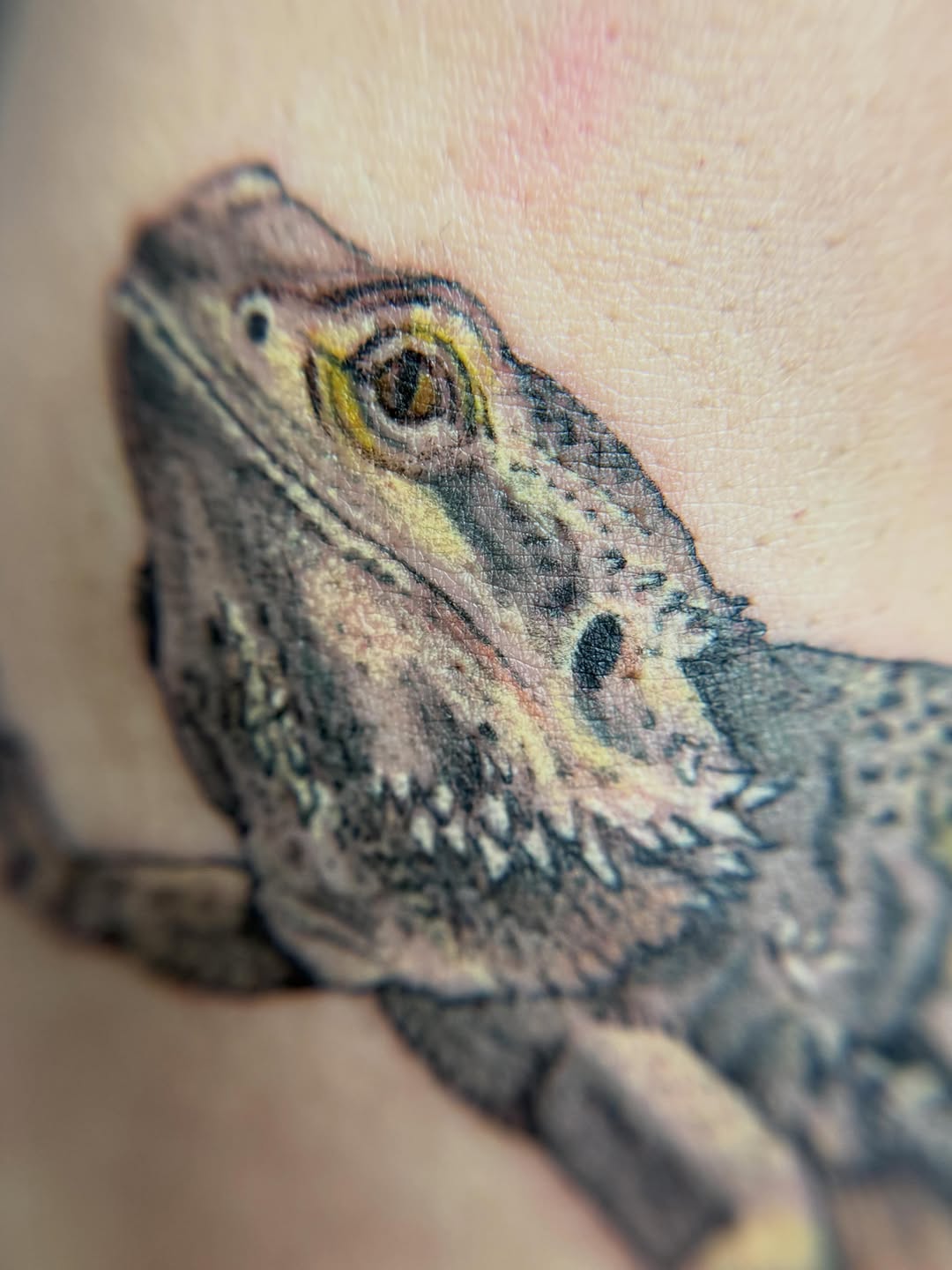 Tattoo by @ditrikh_tattoo — realism, black_and_grey