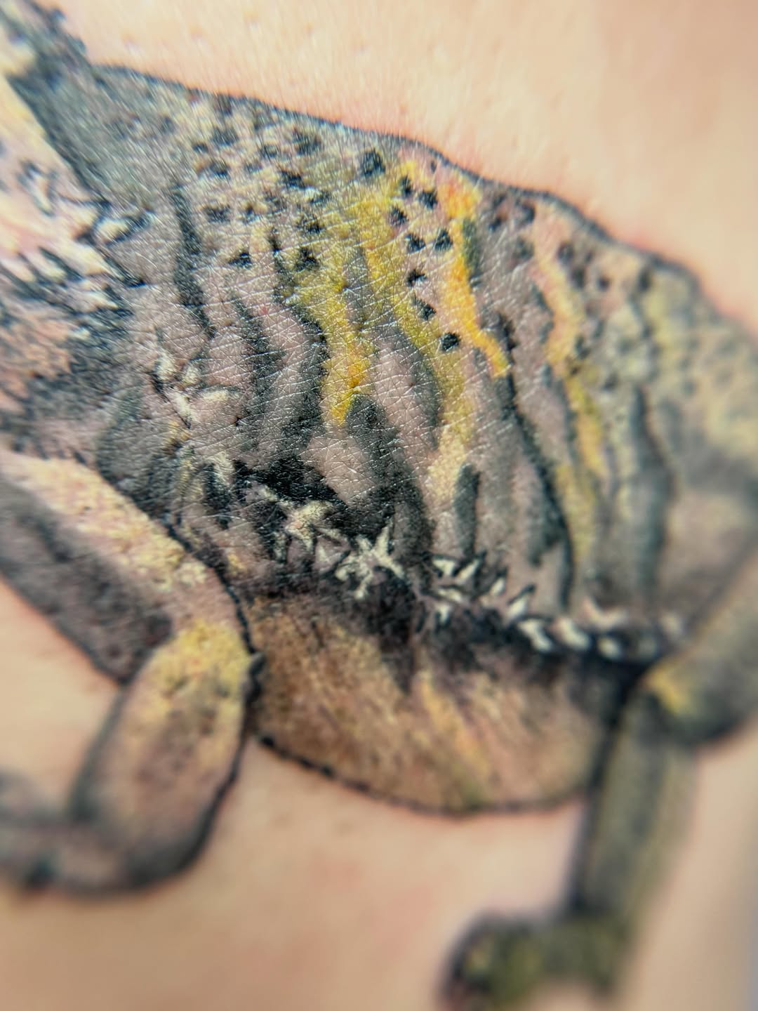 Tattoo by @ditrikh_tattoo — realism