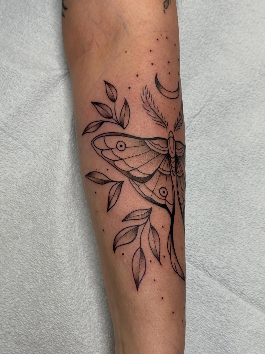 Tattoo by @lex1.nk — fine_line, dotwork