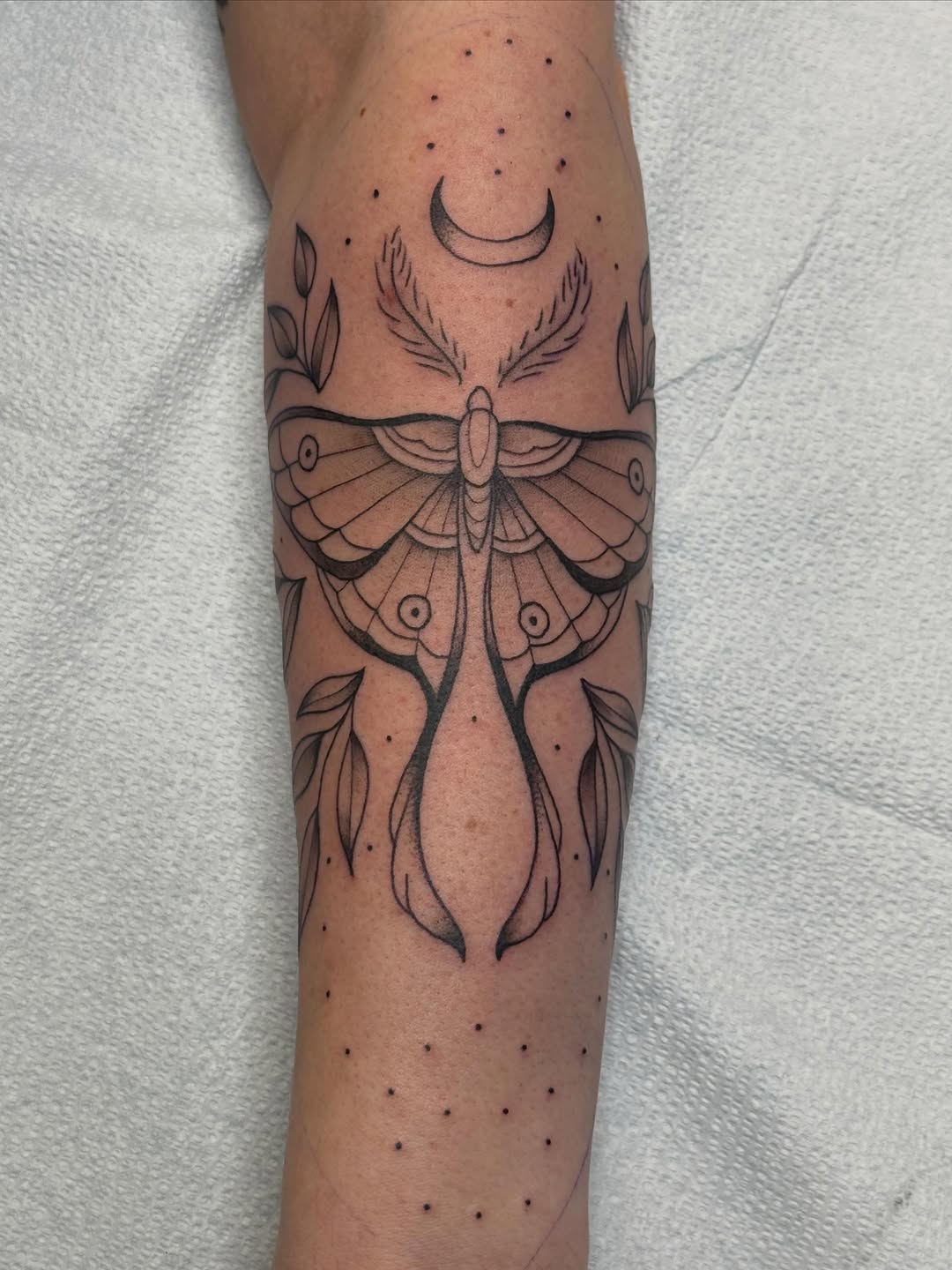 Tattoo by @lex1.nk — fine_line, dotwork